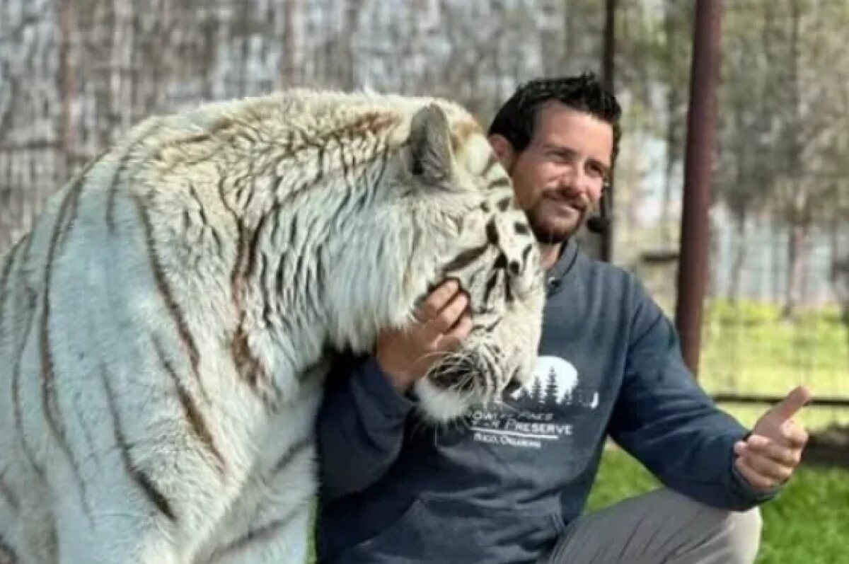    Дрессировщика из фильма Netflix «Король тигров» насмерть растерзал тигр