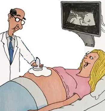 Рис. 01. Ультразвуковое исследование