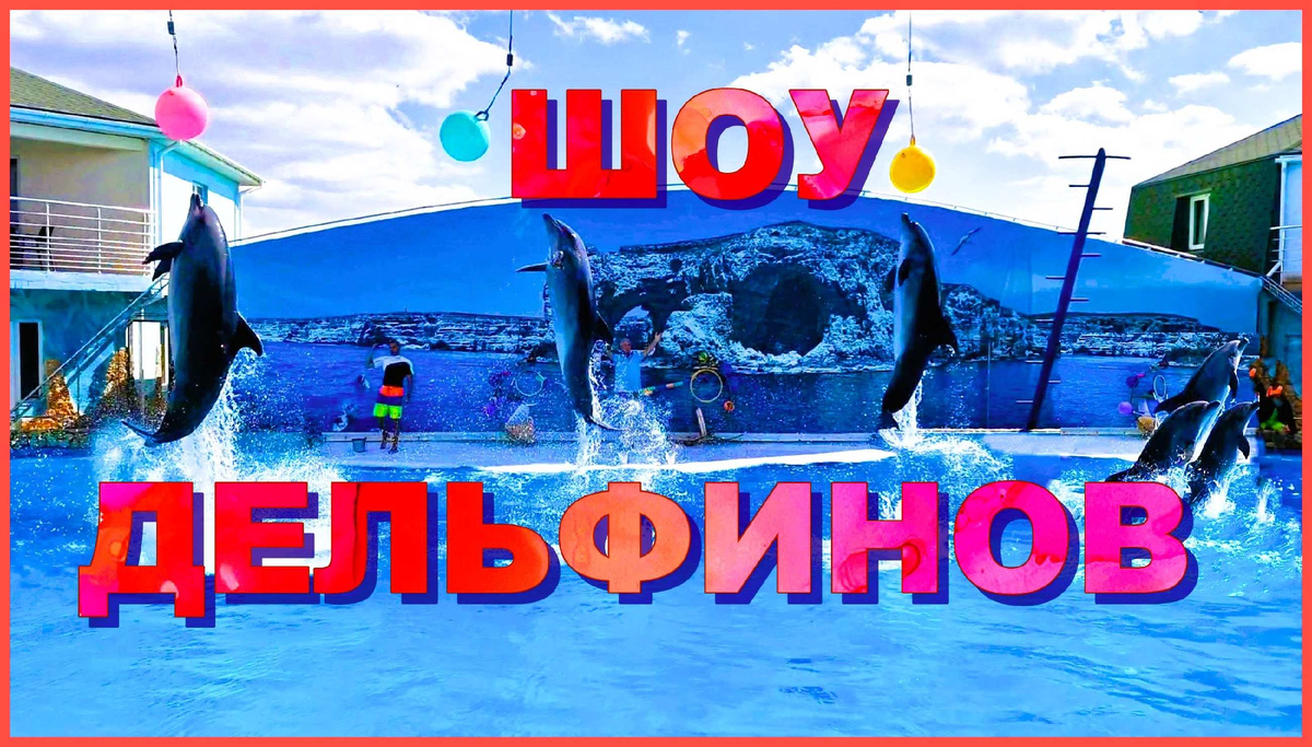 Шоу в дельфинарии на мысе Тарханкут. Крым