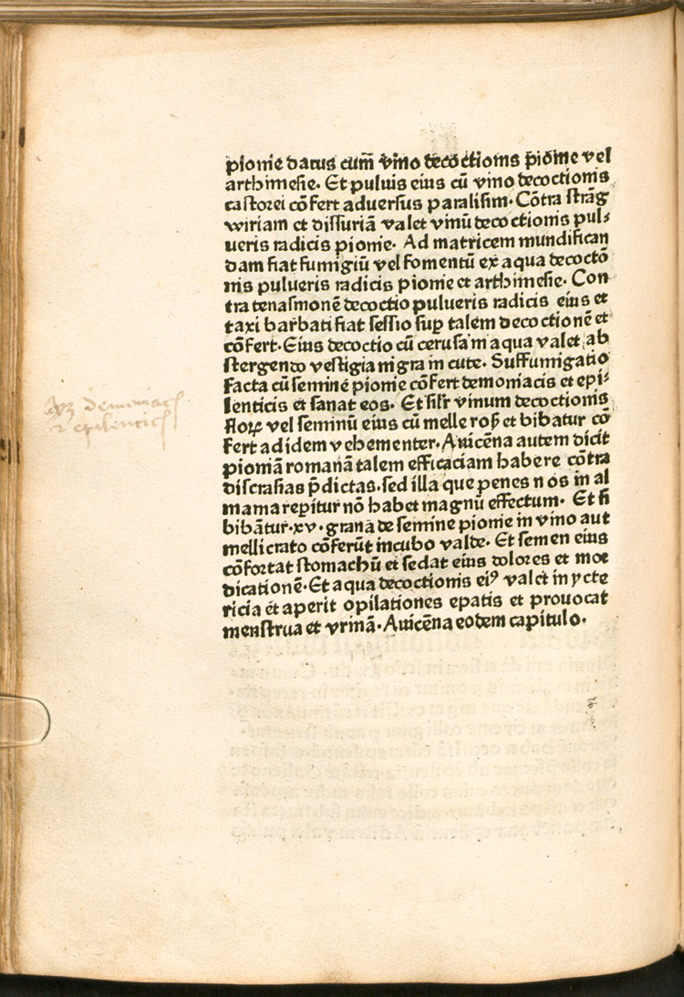 Страница 105 Herbarius Maguntie. Ссылка на изображение: https://www.digitale-sammlungen.de/view/bsb00027407?page=212%2C213