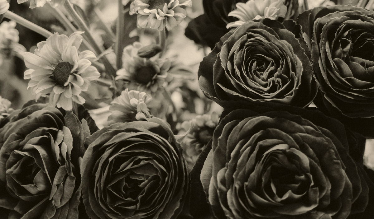 Photo by Random Thinking on Unsplash