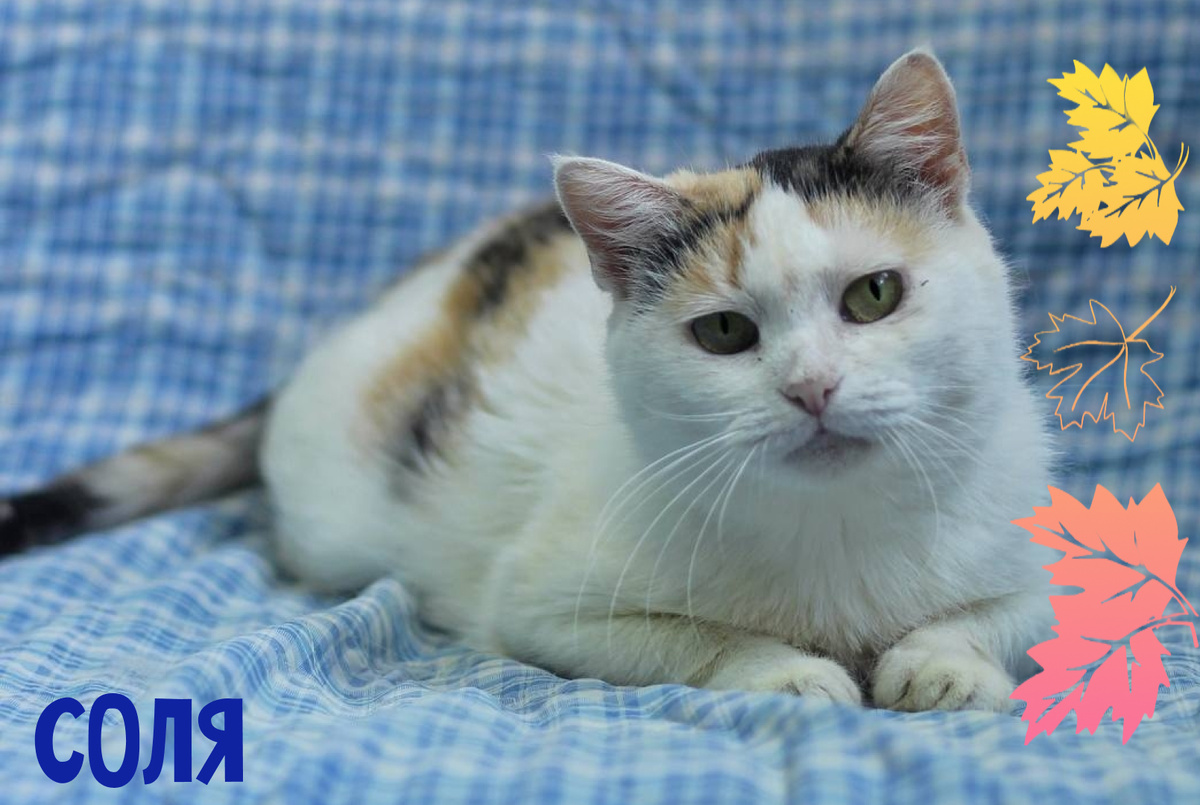 #берегиня_Соля