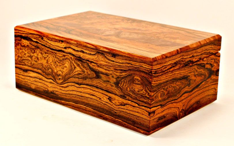 33 000 долларов за килограмм: Топ-10 деревьев, ценность которых превышает золото