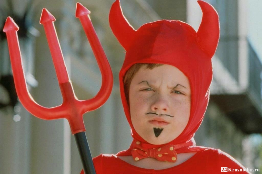 Фото из свободных источников.