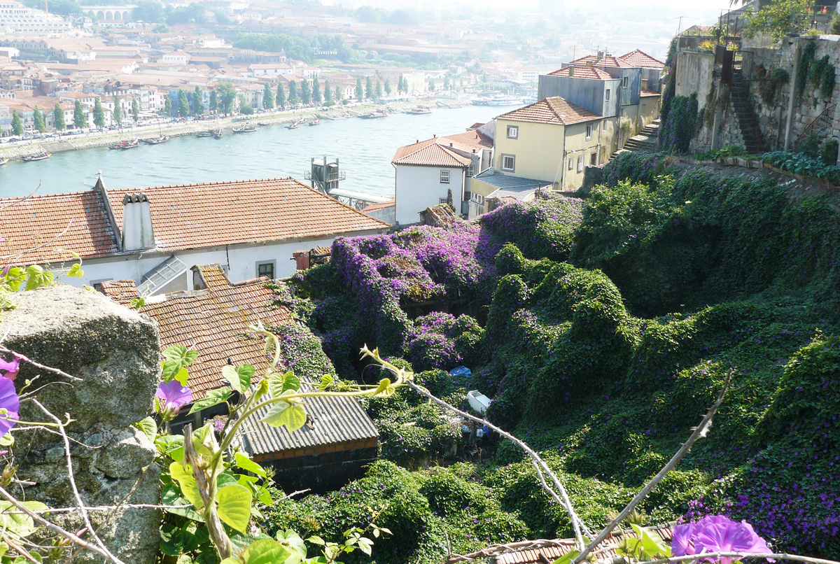Красиво заросшие руины в Порту. Фото автора.