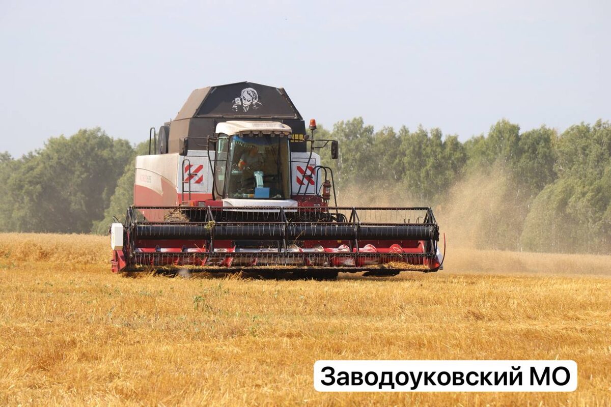 Фото: Информационный центр Правительства Тюменской области