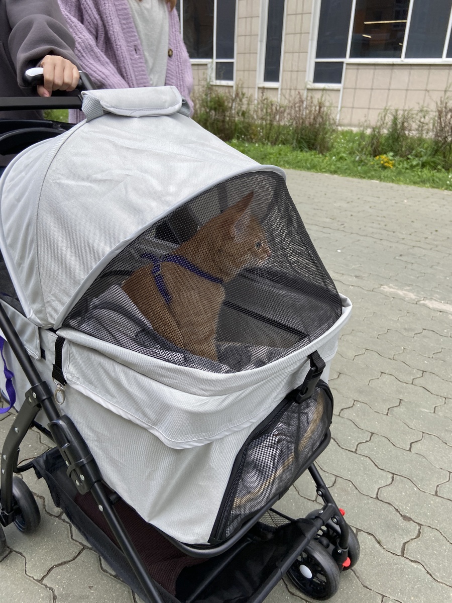 Именно в этой квартире мы собирали для Василисы коляску, и на улицах этого района она к ней привыкала.