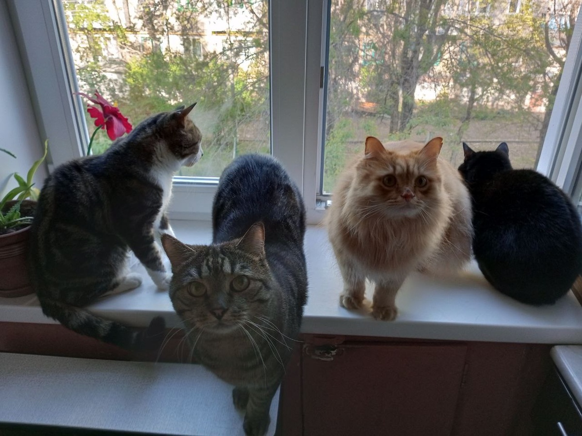 Мы на кухне