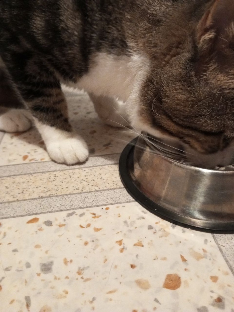 Аппетит  с едой приходит? У нас он приходит до еды!