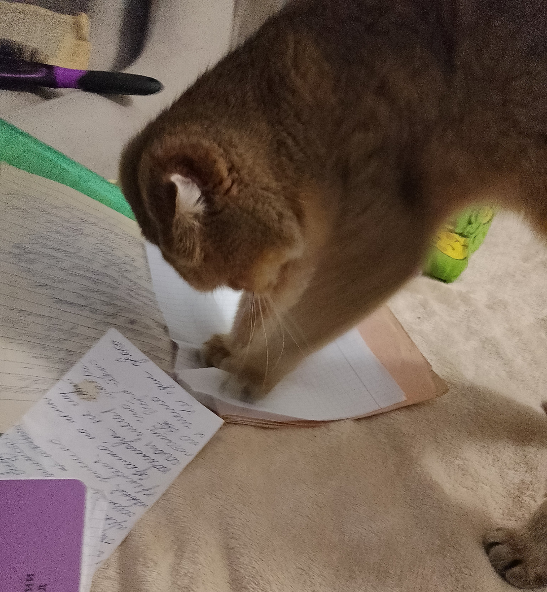 Тоська2 "на деле"