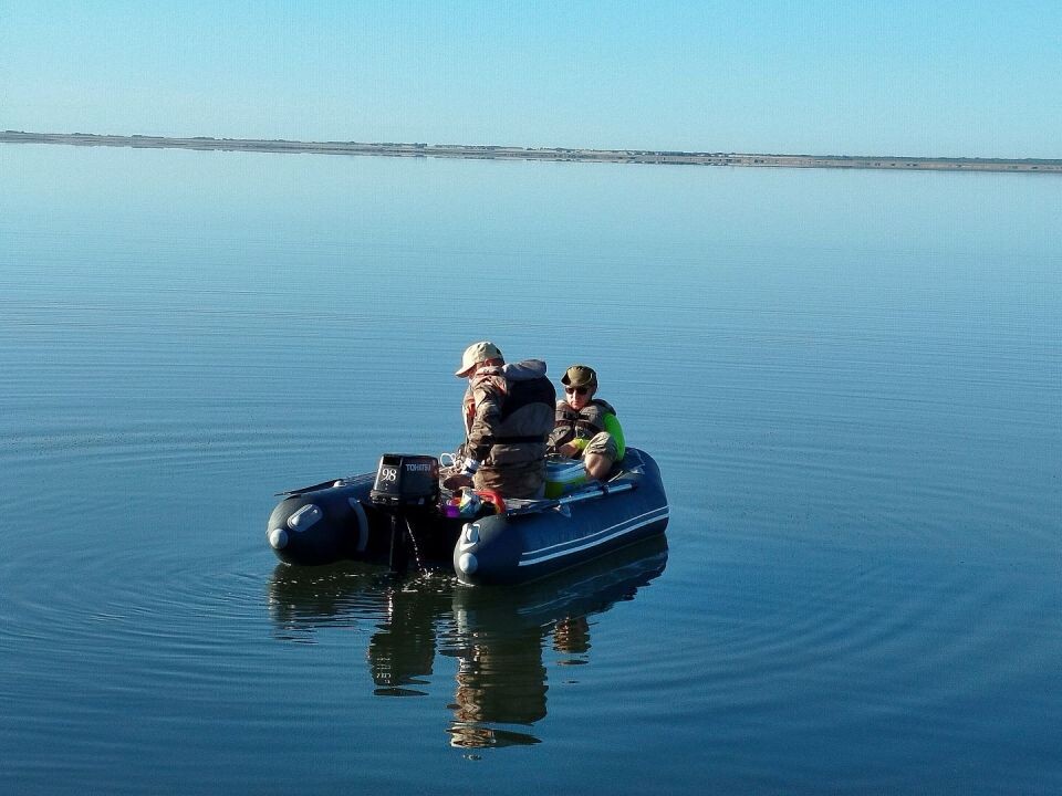    Рачки-артемии в водоемах Алтайского края. Источник: АлтГУ