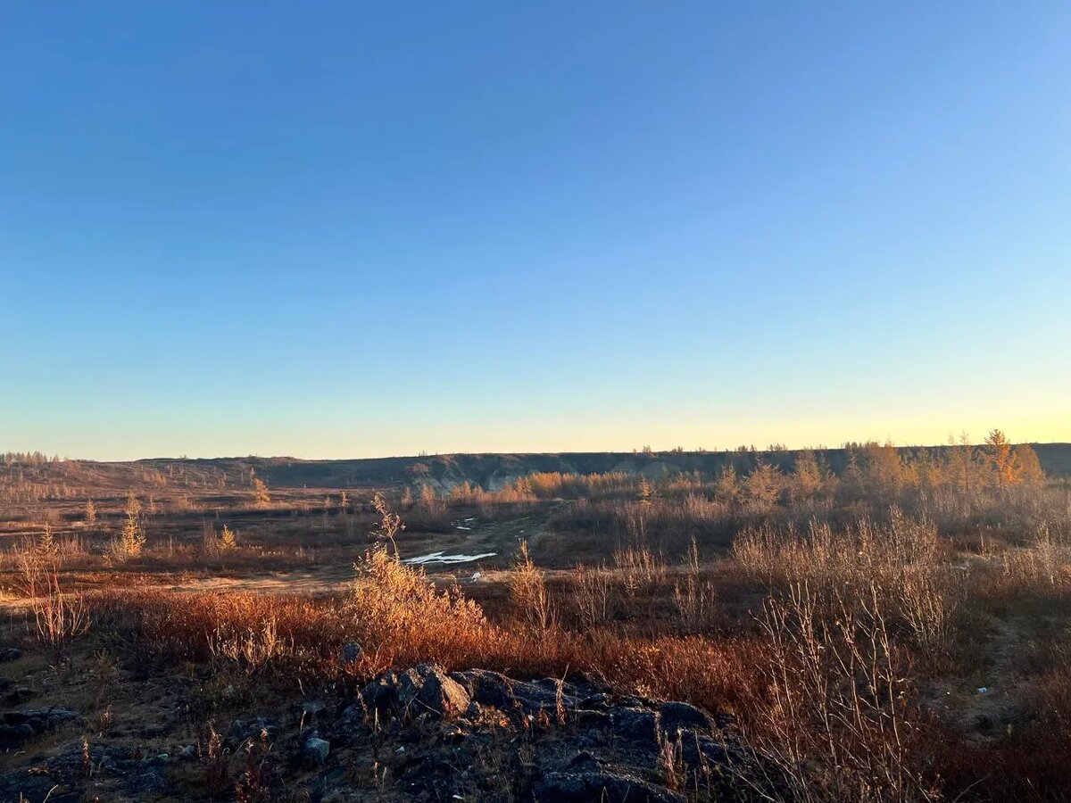    Фото: Таймыр — сердце Арктики / Telegram