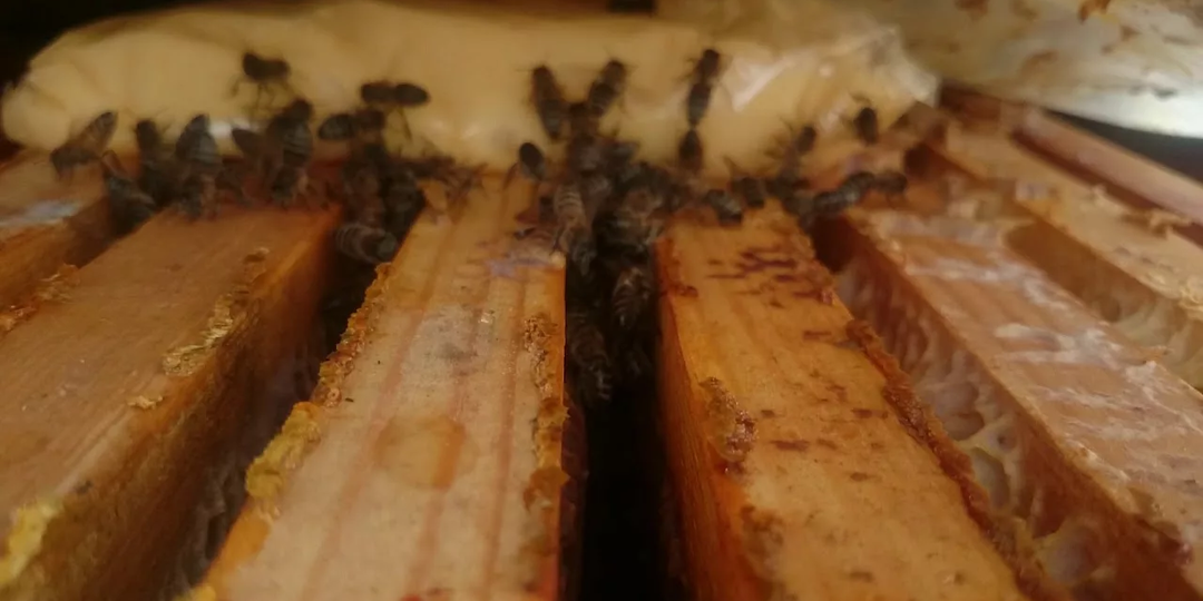 Осенние подкормки и заготовка кормов на зиму