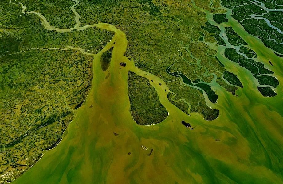 Сундарбан с высоты птичьего полета