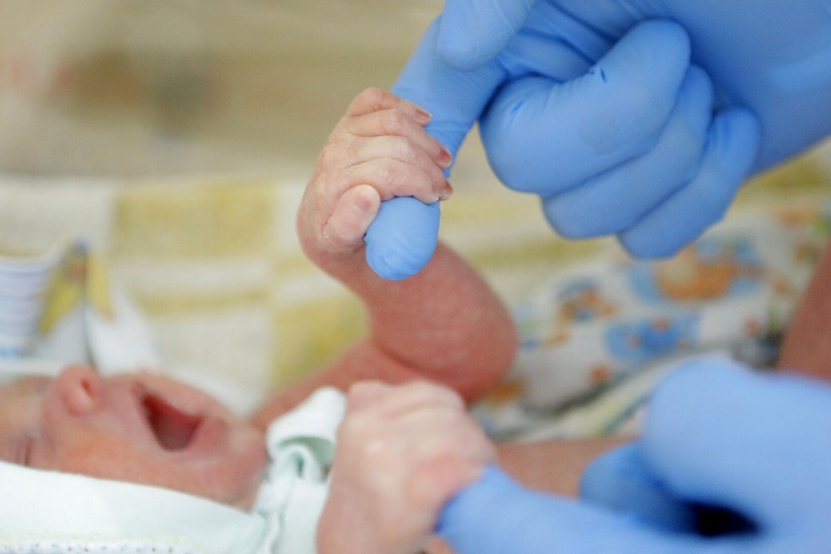    Фото: Антон Вергун, источник: ria.ru