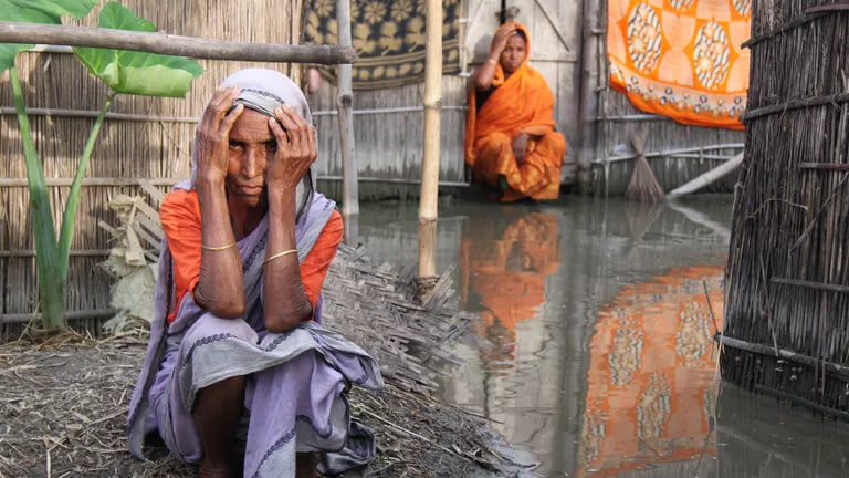    Фото: Евгений Пахомов, источник: ria.ru