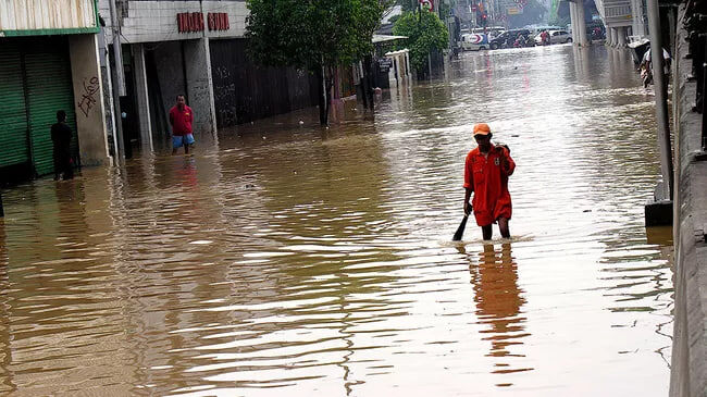    Фото: Михаил Цыганов, источник: ria.ru