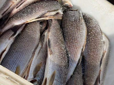 Фото: Россельхознадзор Красноярского края