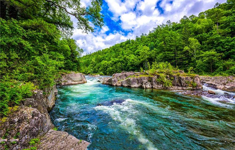 Картинка найдена на просторах интернета, ссылка https://yandex.ru/images/search?from=tabbar&img_url=https%3A%2F%2Fi.pinimg.com%2Foriginals%2Fa8%2F34%2F3f%2Fa8343f812879b5e7bd513274cf0591a19.jpg&lr=47&pos=15&rpt=simage&text=%D1%86%D0%B2%D0%B5%D1%82%D1%8B%20%DА0%BA%D1%80%D1%83%D0%BF%D0%BD%D0%BE%20%D1%84%D0%BE%D1%82%D0%BE