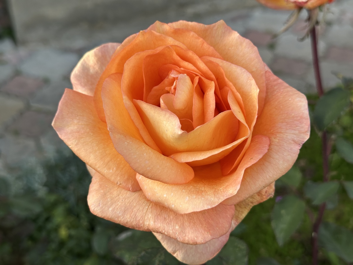 Можно полистать 