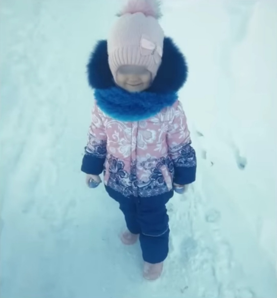 Вероника Николаева. Ист: Лиза Алерт.