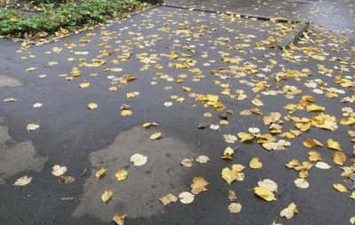 Фото: https://om-saratov.ru/