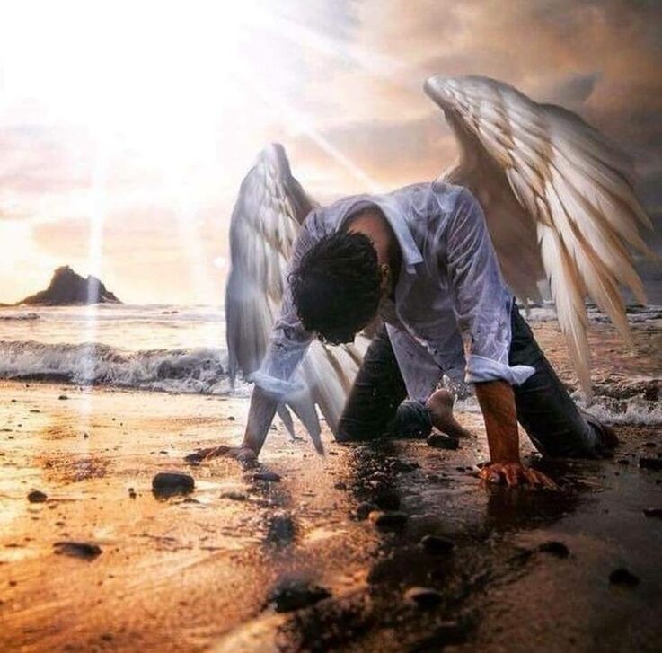 Картинка из сети Интернет 