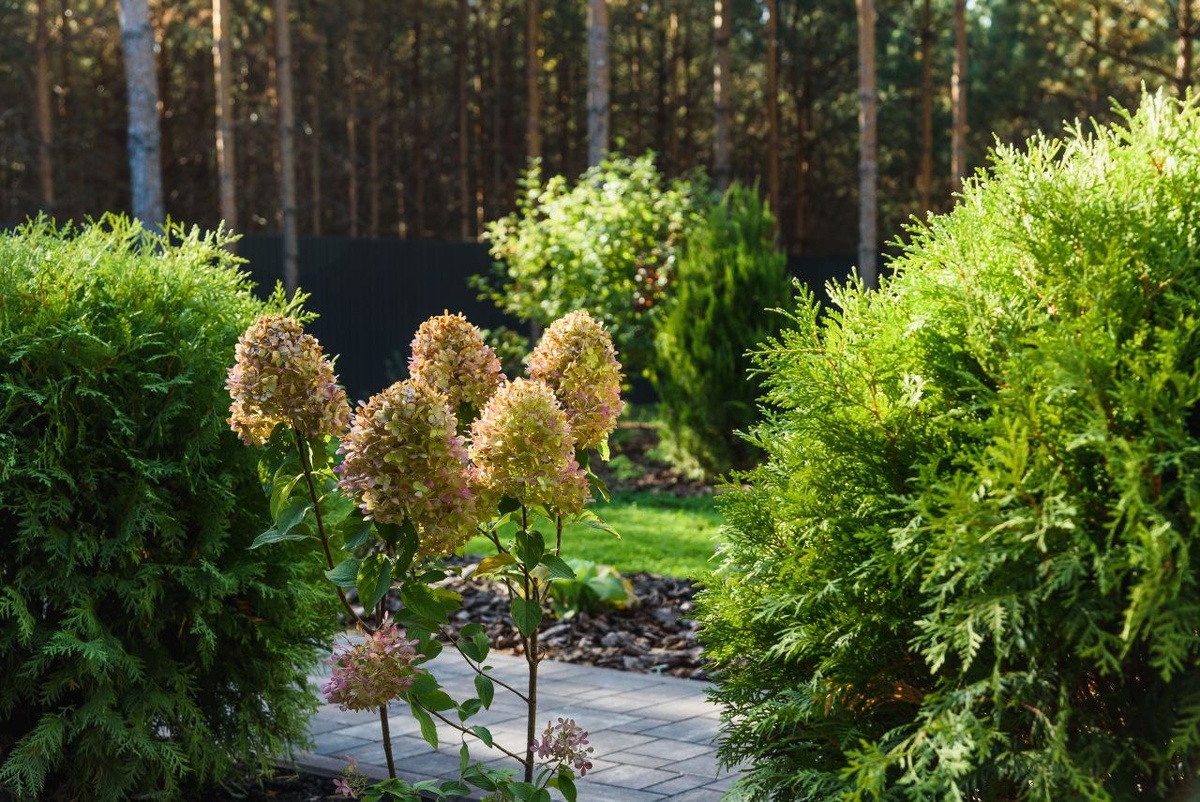    Фото: Ирсон Лазарева