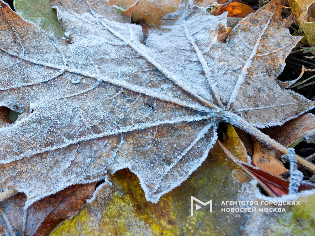 Фотограф: Василий Кузьмичёнок
