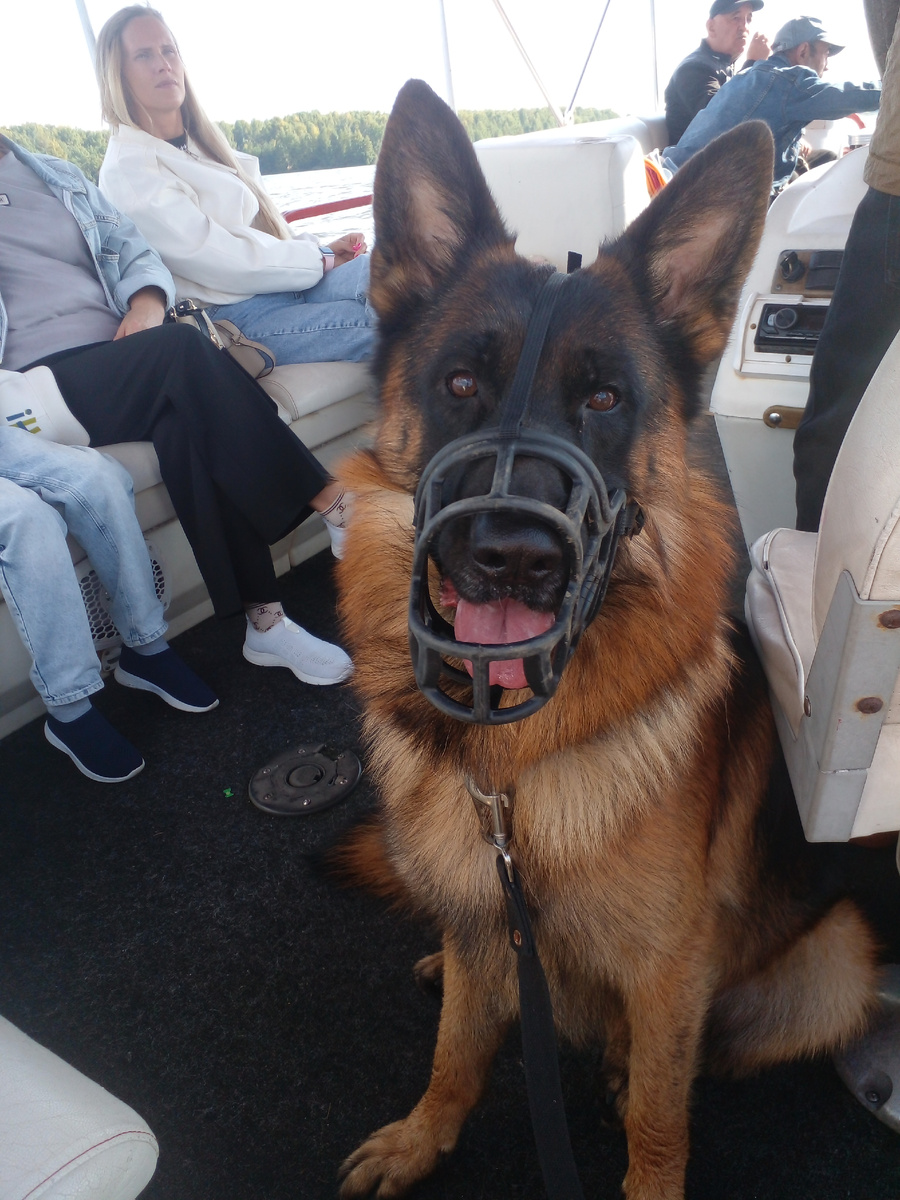 Асгерт на катере, фото автора, сентябрь 2025. 