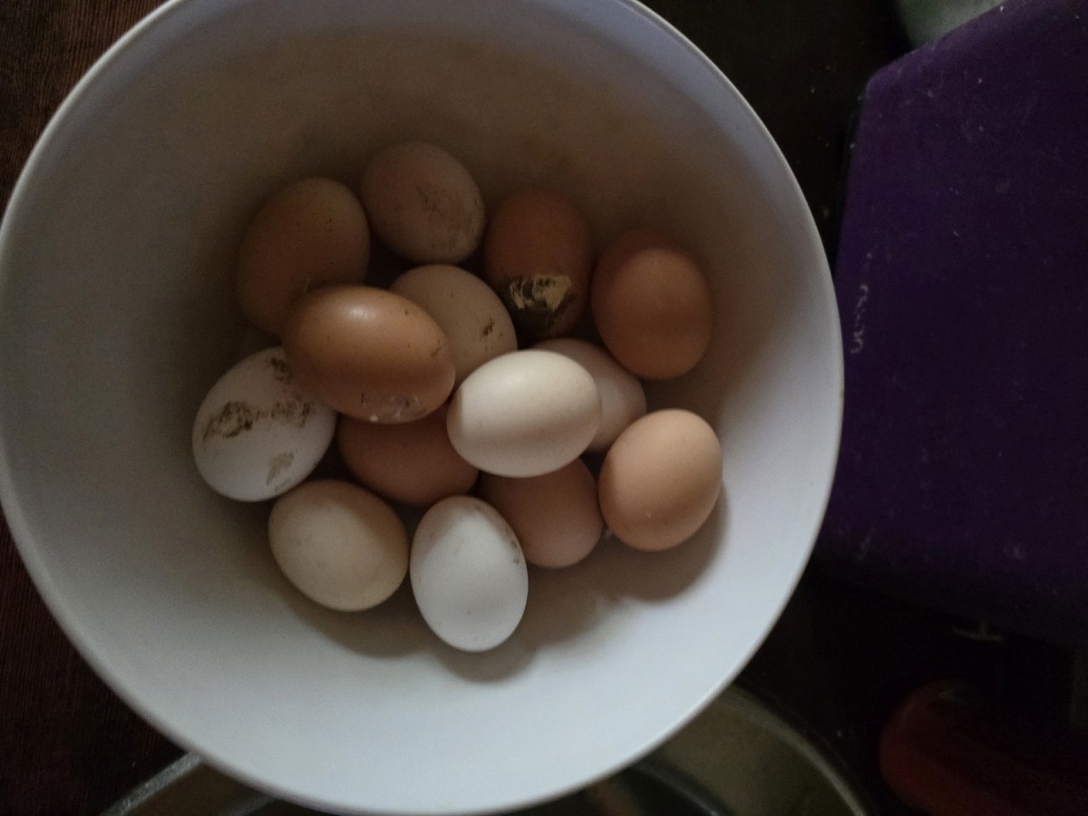    Пить или не пить: врачи дали окончательный вердикт по сырым яйцам -результат удивит поклонников ЗОЖ