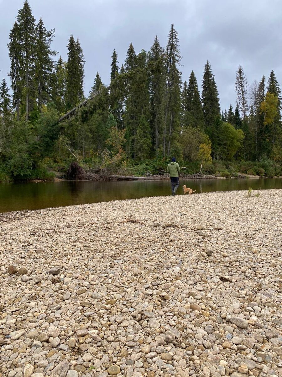 Хорошее местечко