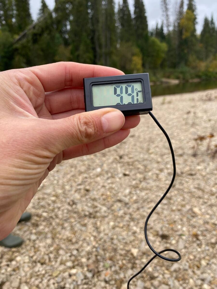 Утром не жарко.