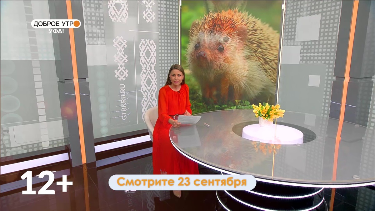    В программе «Доброе утро, Уфа!» расскажут, зачем грибнику свисток и как не потеряться в лесу