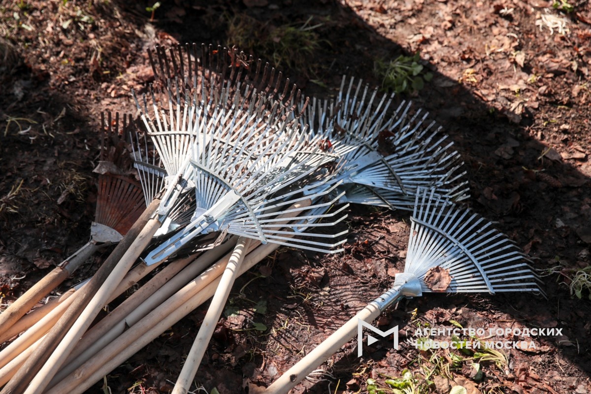 Фотограф: Василий Кузьмичёнок