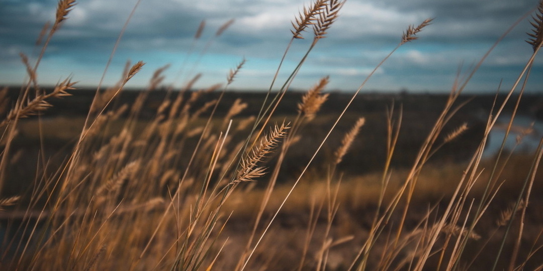 Циклон "Бернвард" несет россиянам снег и заморозки: подробный прогноз погоды на эту неделю