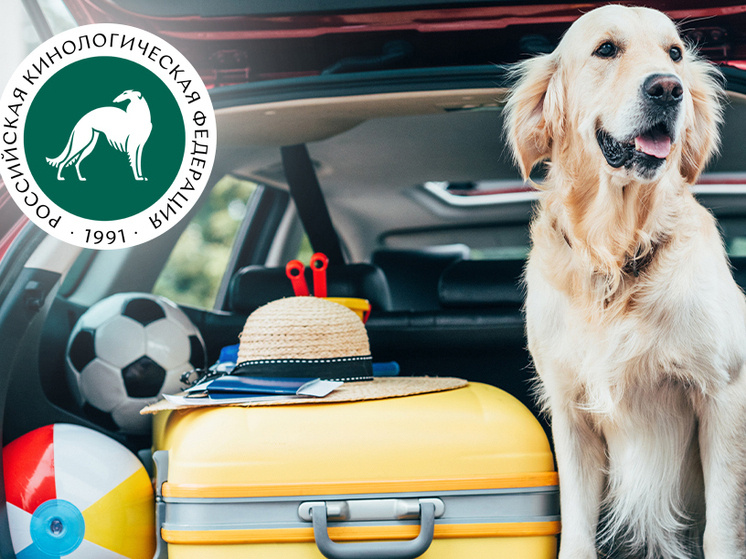     фото Российской кинологической федерации