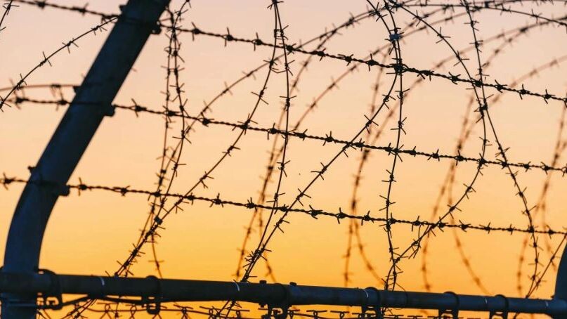    Фото: mTaira/Shutterstock/Fotodom