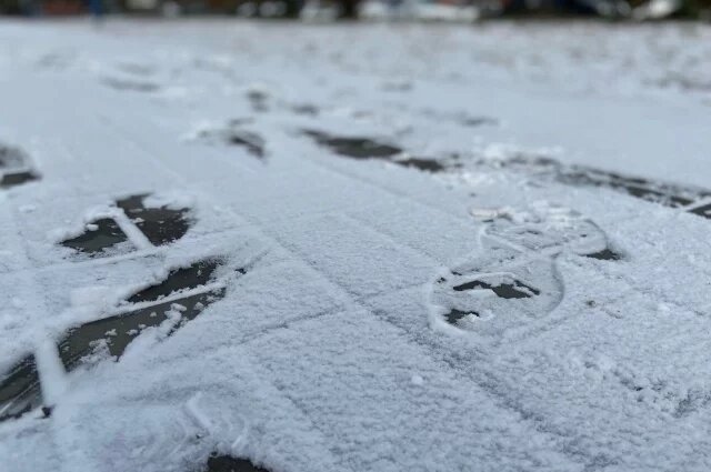    Когда выпадет первый снег в Петербурге в 2025 году?