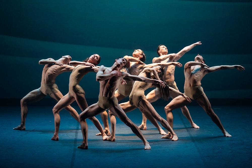     Фото: ИП "Бедуш Елена Александровна"