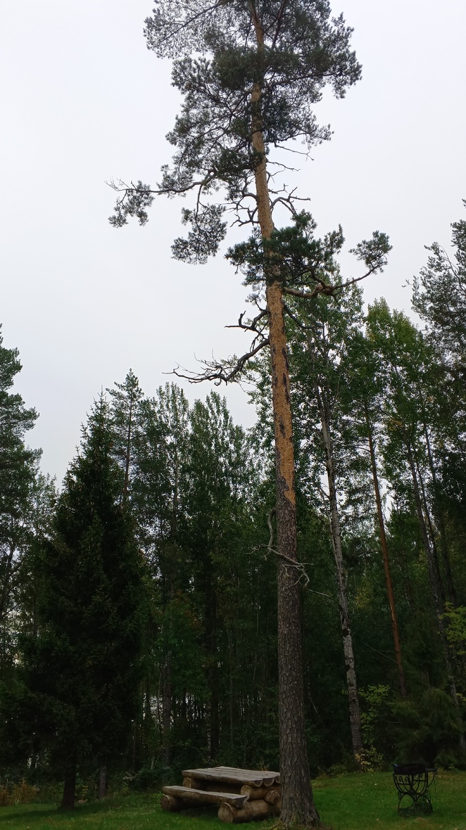 фото автора: красоты Карелии