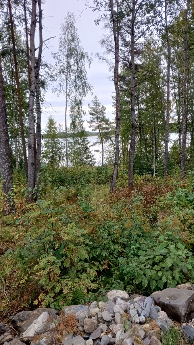 фото автора: суровая Карелия