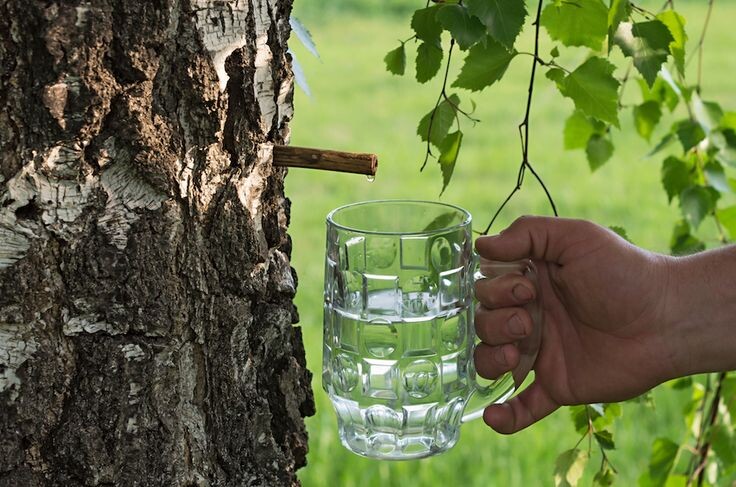 Изображение взято с сайта https://i.pinimg.com/736x/f7/8f/14/f78f14f2b234aaf6c8e0caa493477d22.jpg