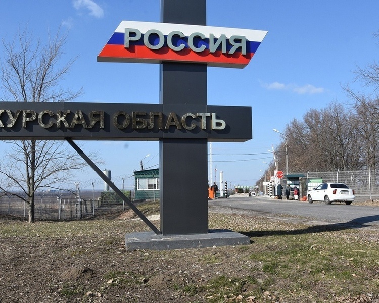     В Курском приграничье разминировали 100 тысяч гектаров земли