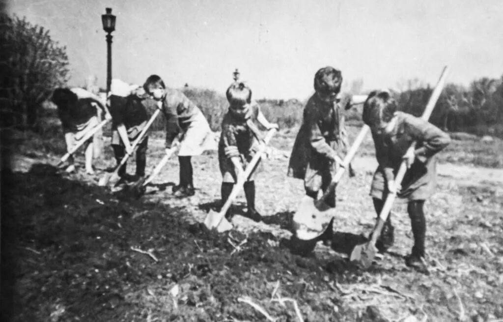 Дети за работой. Фото военных лет из открытых источников