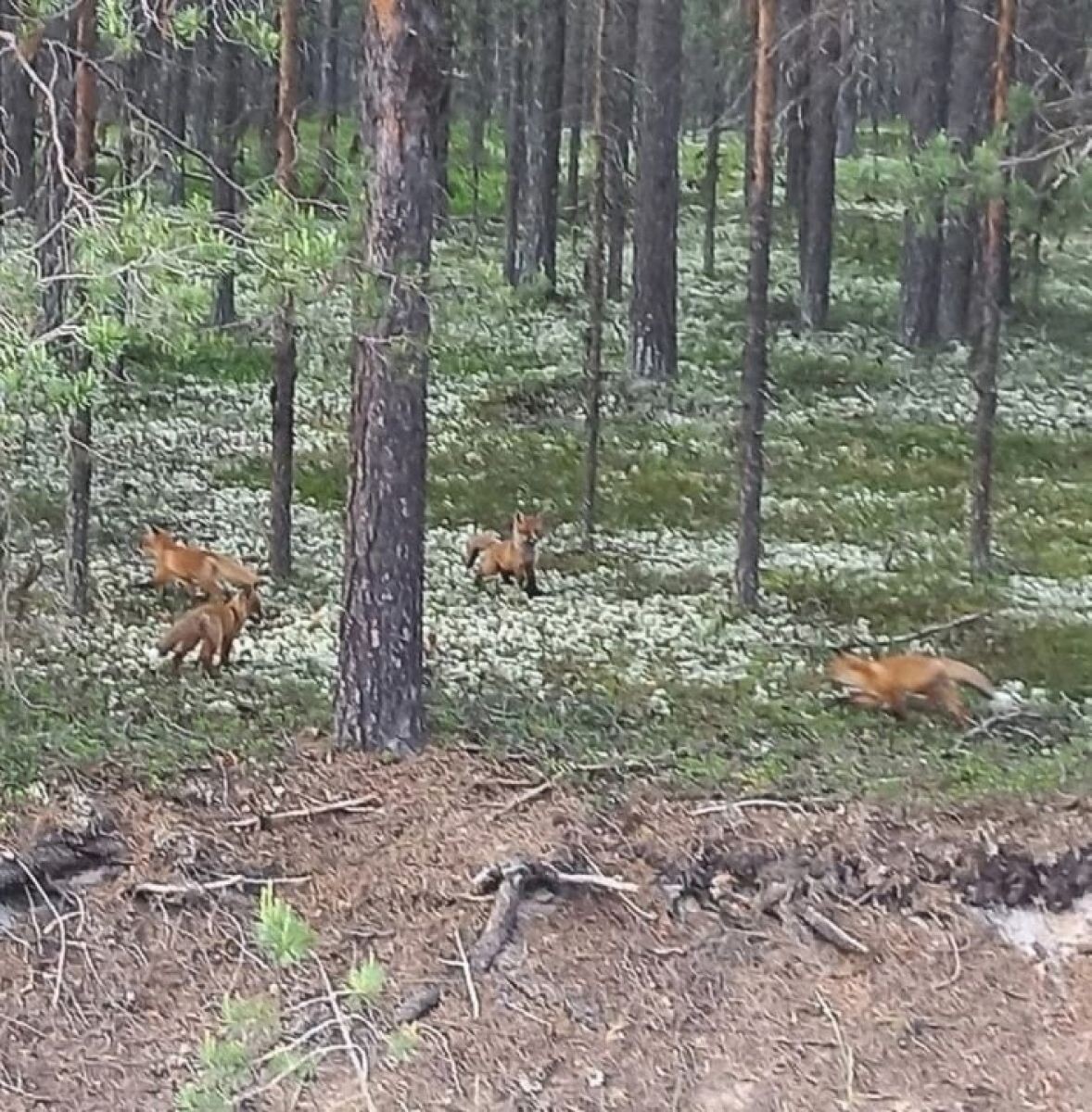 Листайте вправо, чтобы увидеть больше изображений