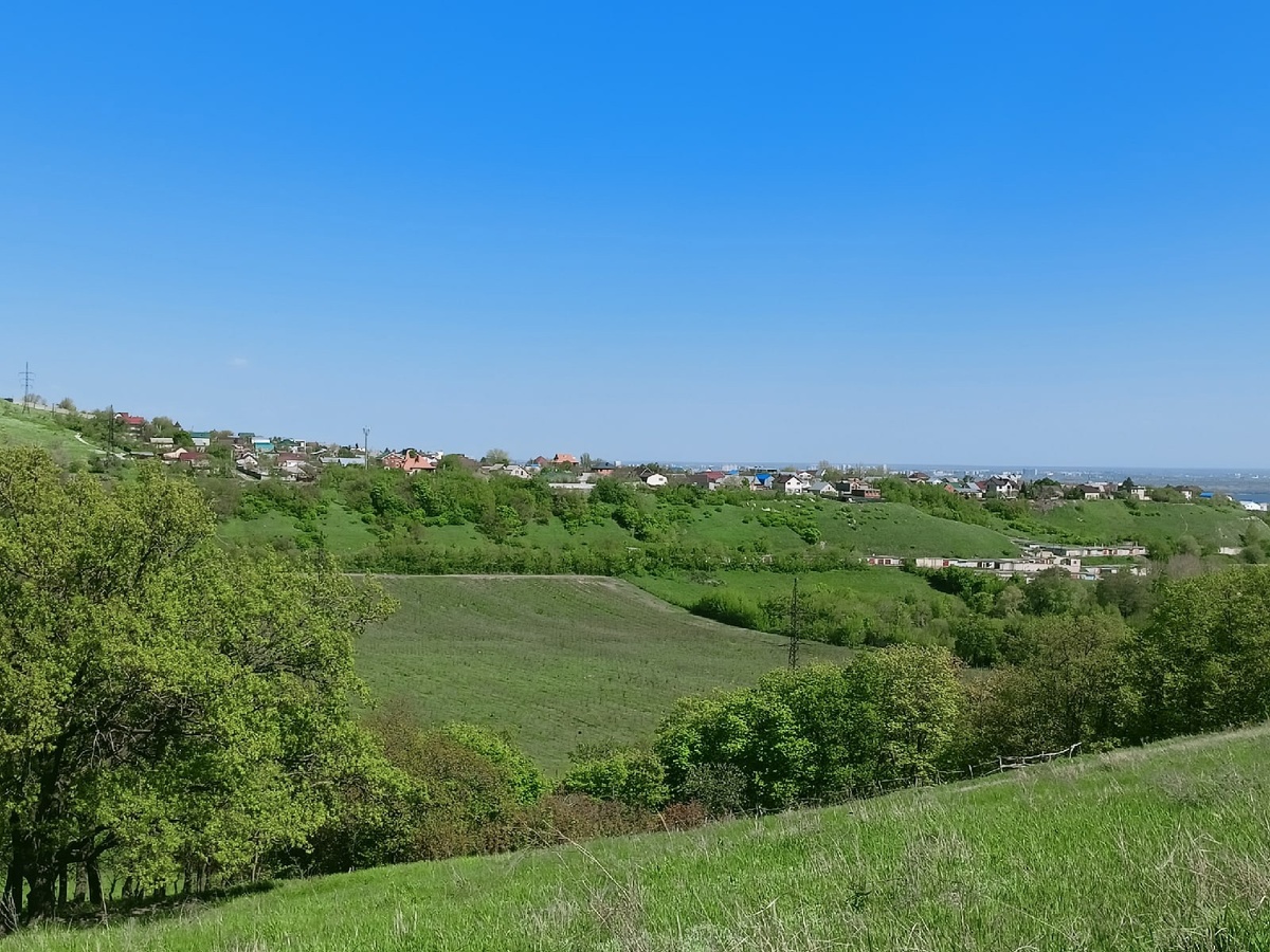 Из открытых источников