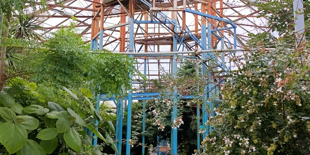 "Корольков сад" - уникальное место с нереализованным потенциалом