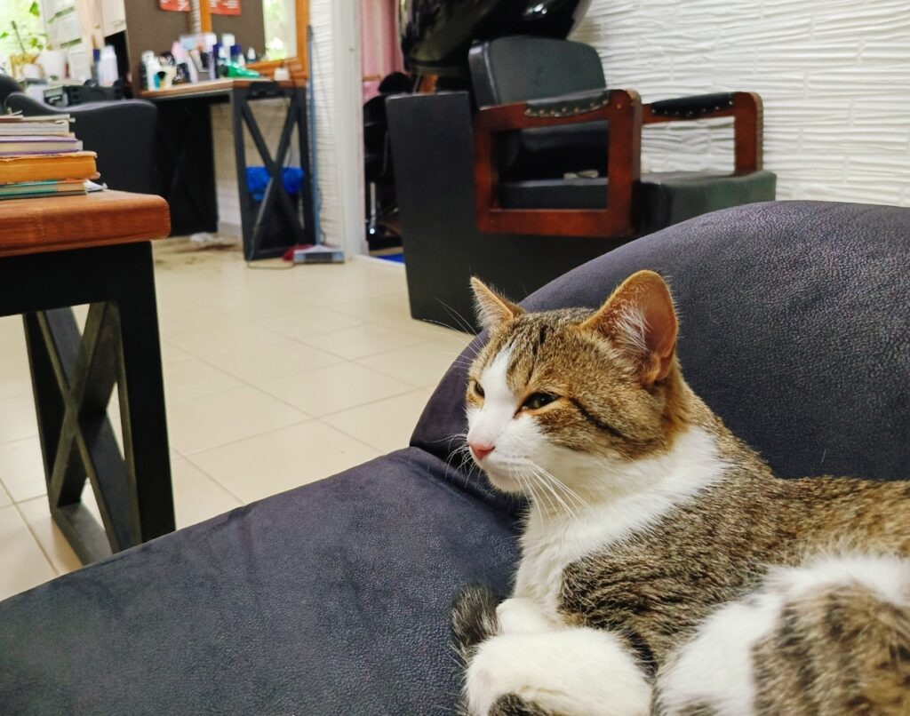    Фото: Ульяна Бажанова Ульяна Бажанова