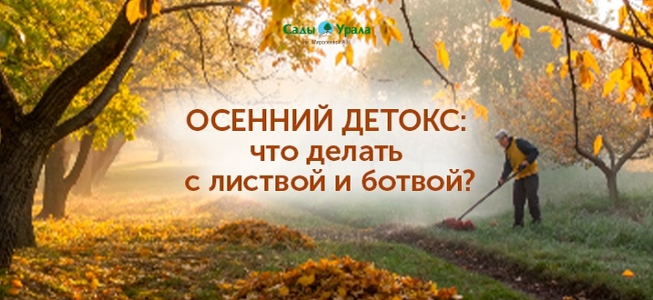 Создать карусель